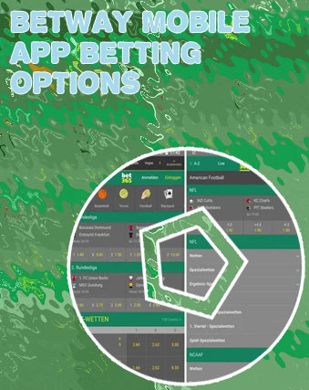 Baji bet zero app download apk bd