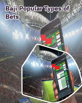 Betting company baji bet