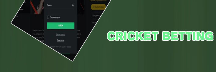 Log in baji bet account